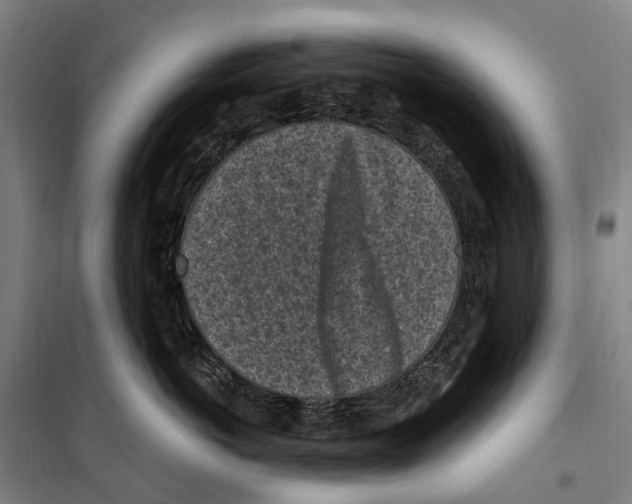 X0000099520766200806121502