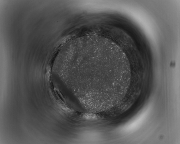 X0000099520767200806121502