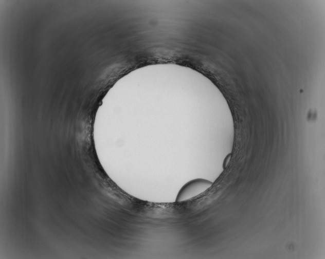 X0000099520768200806121502