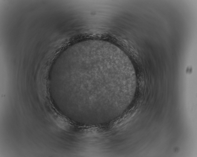 X0000099520769200806121501