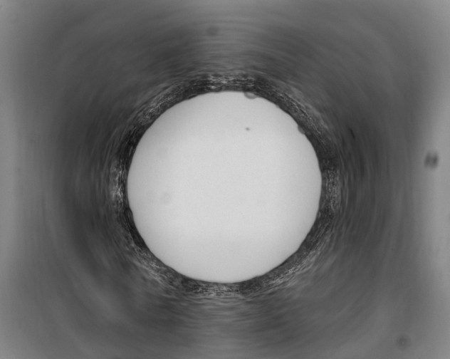 X0000099520770200806121501