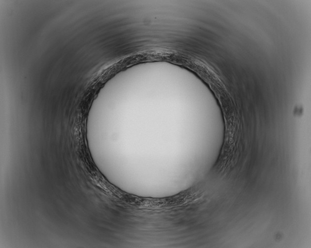 X0000099520773200806121501