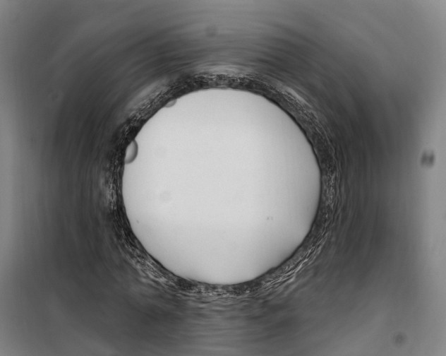 X0000099520774200806121501