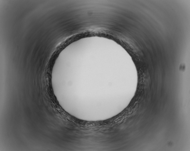 X0000099520776200806121501