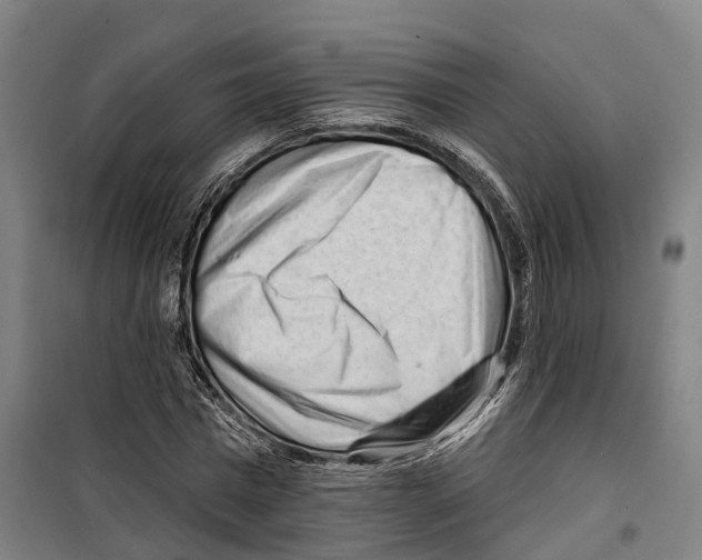 X0000099520777200806121501