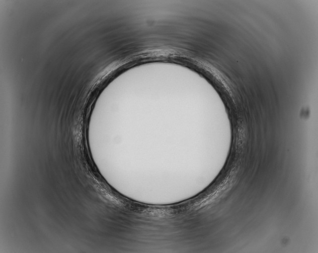 X0000099520778200806121501