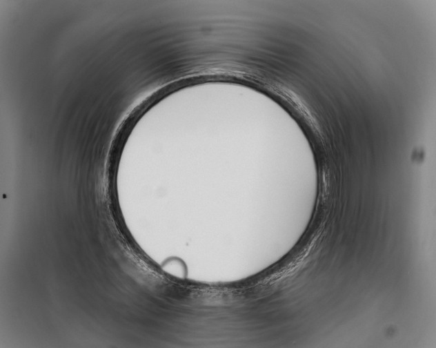 X0000099520780200806121501