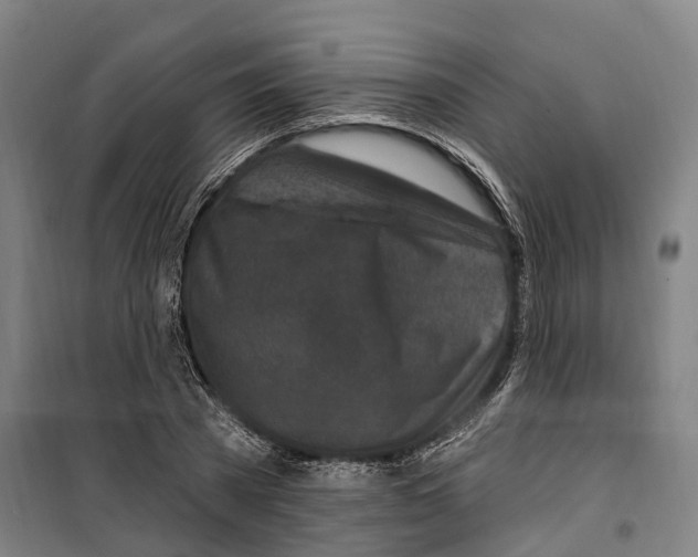 X0000099520785200806121501