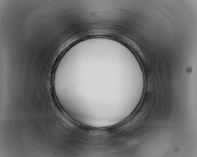 X0000099520786200806121501