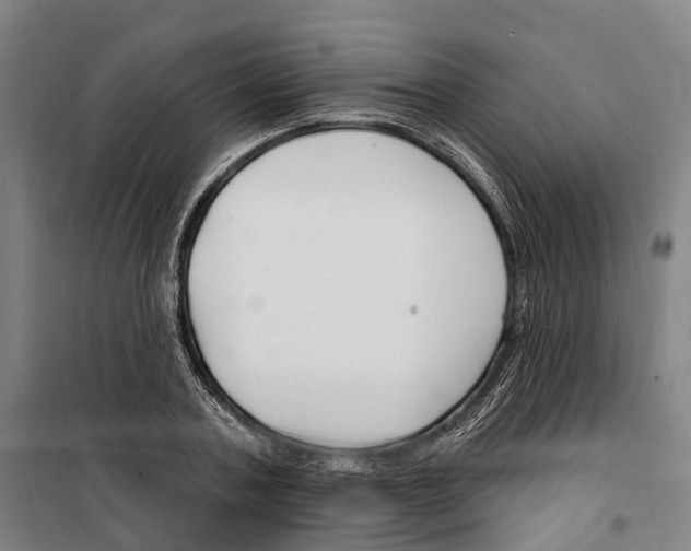 X0000099520787200806121501