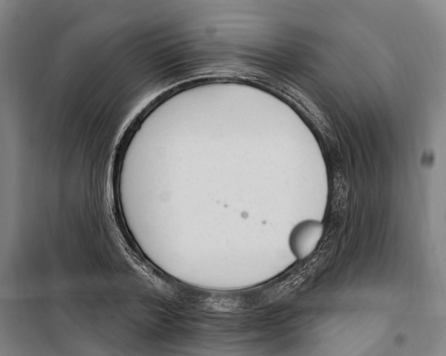 X0000099520788200806121501