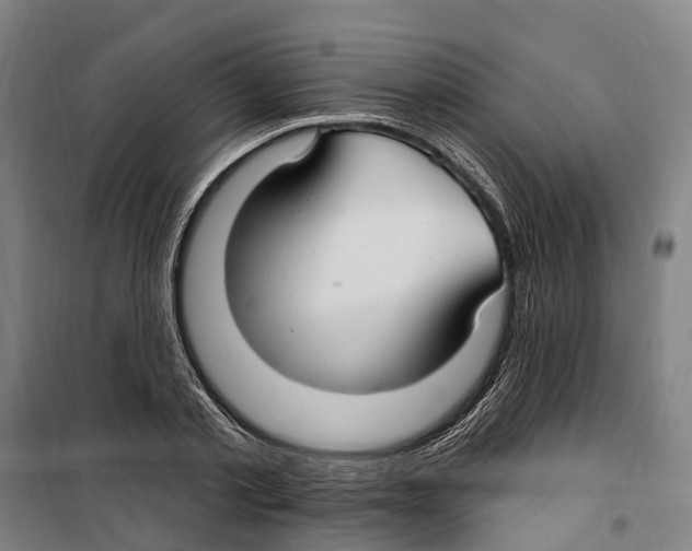 X0000099520789200806121501