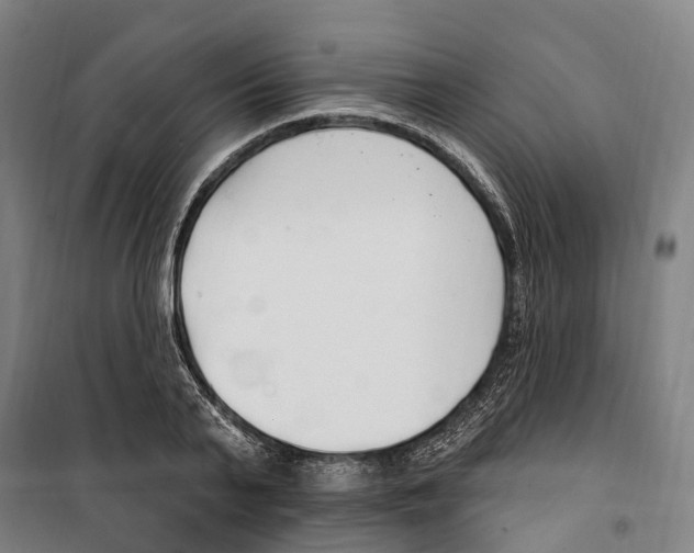 X0000099520791200806121501