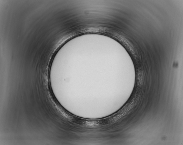 X0000099520794200806121501