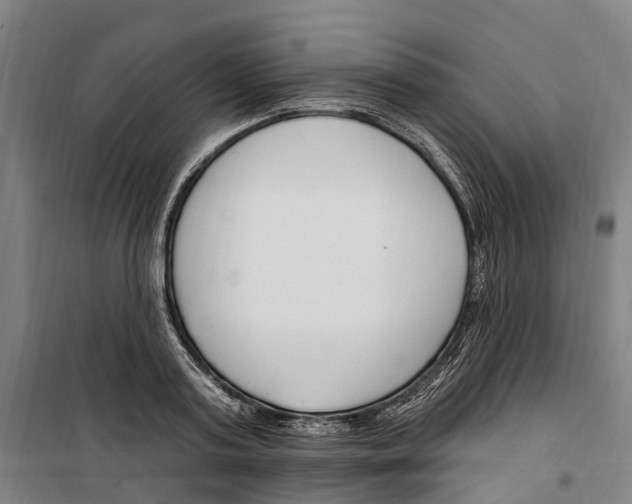 X0000099520795200806121501