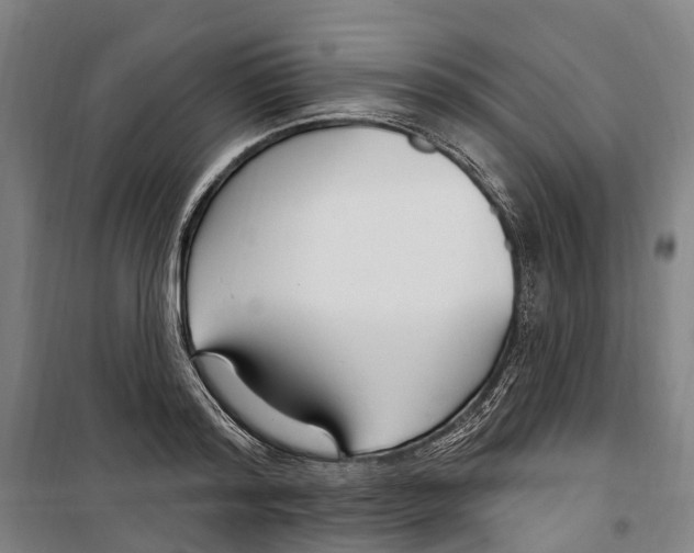 X0000099520796200806121501