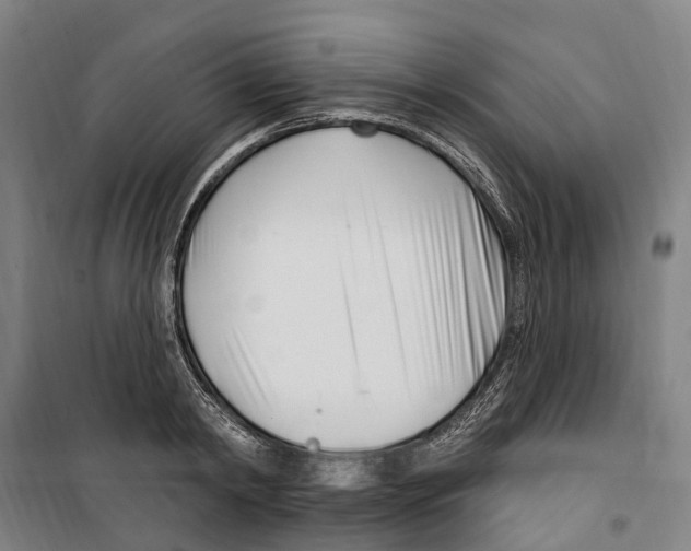 X0000099520798200806121501