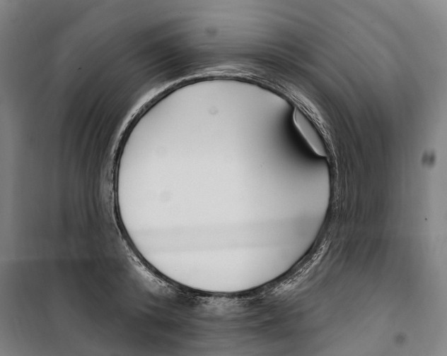 X0000099520800200806121501