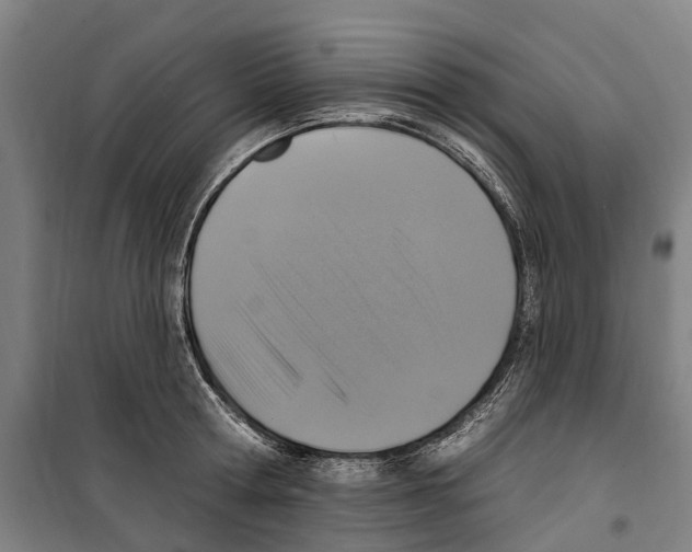 X0000099520802200806121501