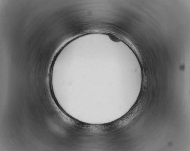 X0000099520803200806121501