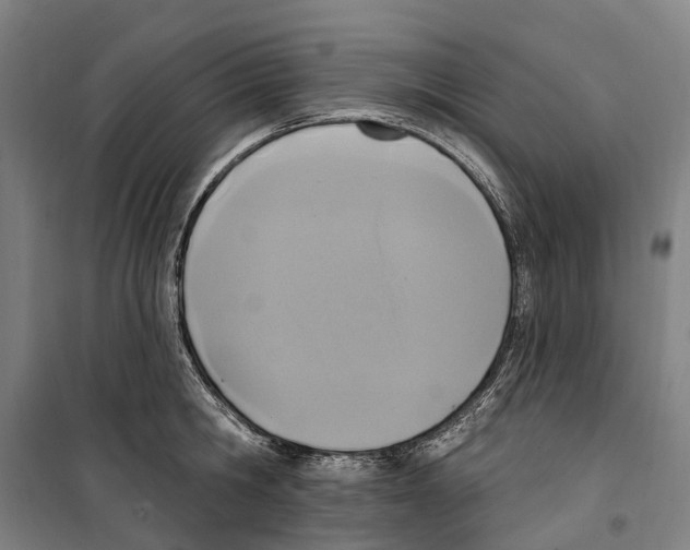 X0000099520806200806121500