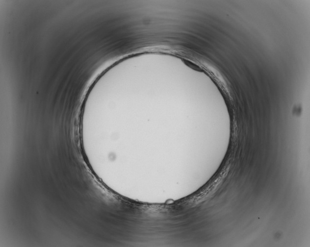 X0000099520808200806121500