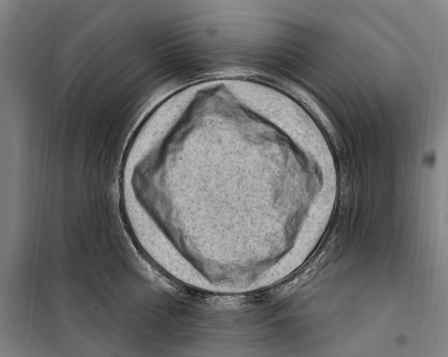 X0000099520810200806121500