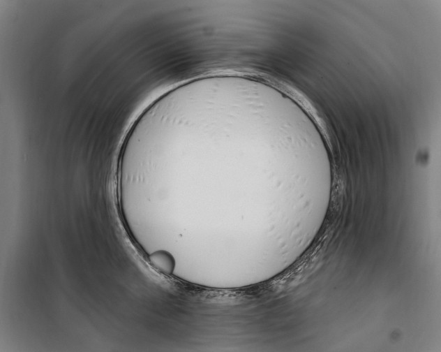 X0000099520811200806121500