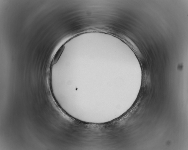 X0000099520812200806121500