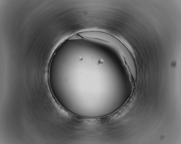 X0000099520813200806121500