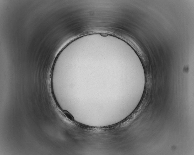 X0000099520814200806121500