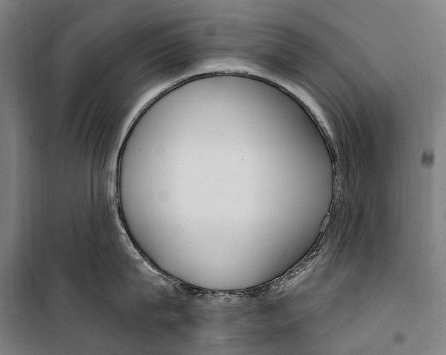 X0000099520815200806121500