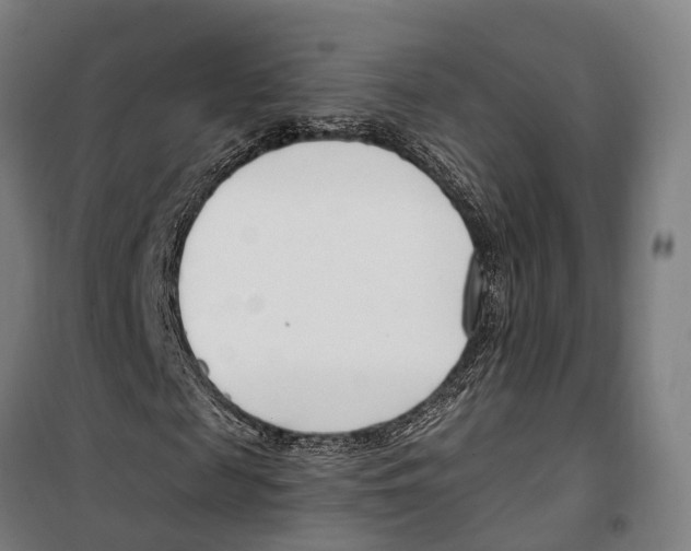 X0000099520817200806121500