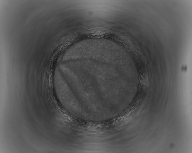 X0000099520818200806121500