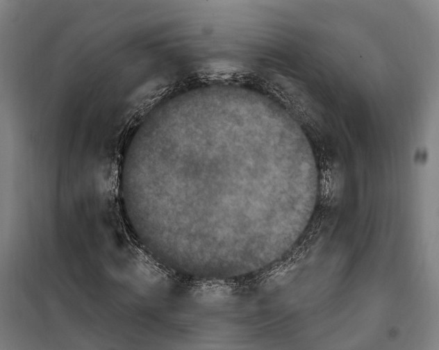 X0000099520820200806121500