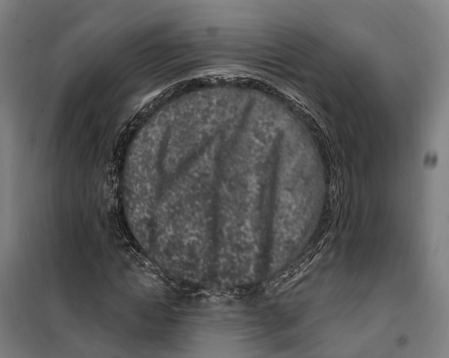 X0000099520822200806121500