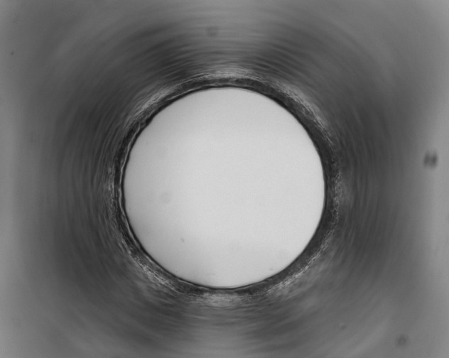 X0000099520825200806121500