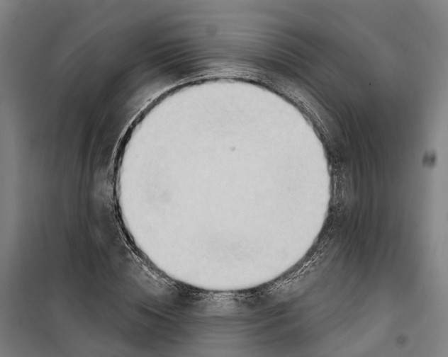 X0000099520828200806121500