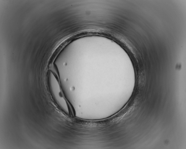 X0000099520829200806121500