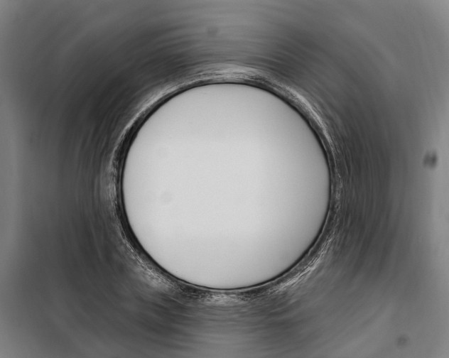 X0000099520835200806121500