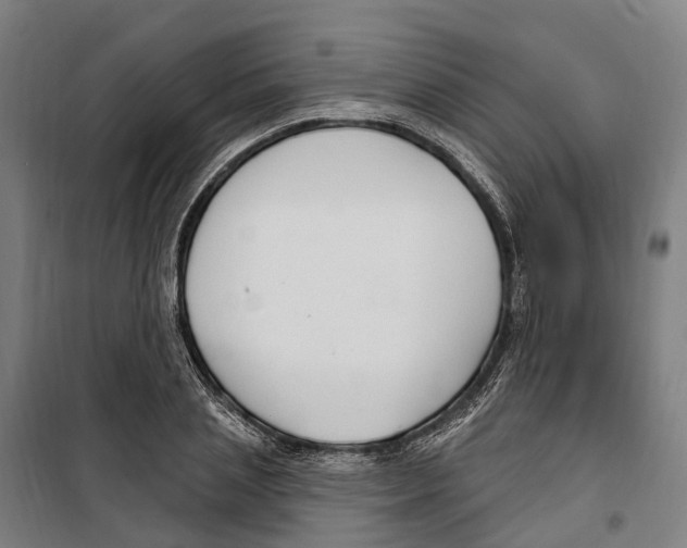 X0000099520837200806121500