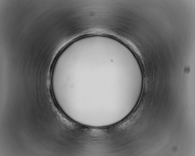 X0000099520839200806121500