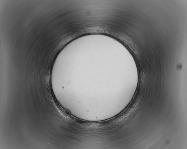 X0000099520841200806121500