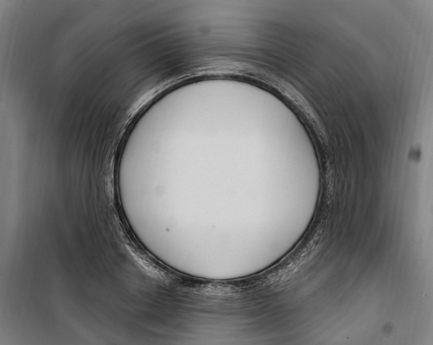 X0000099520842200806121500