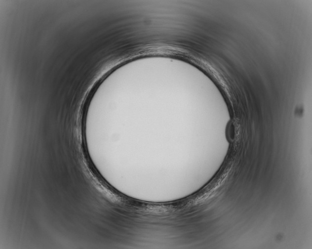 X0000099520843200806121500