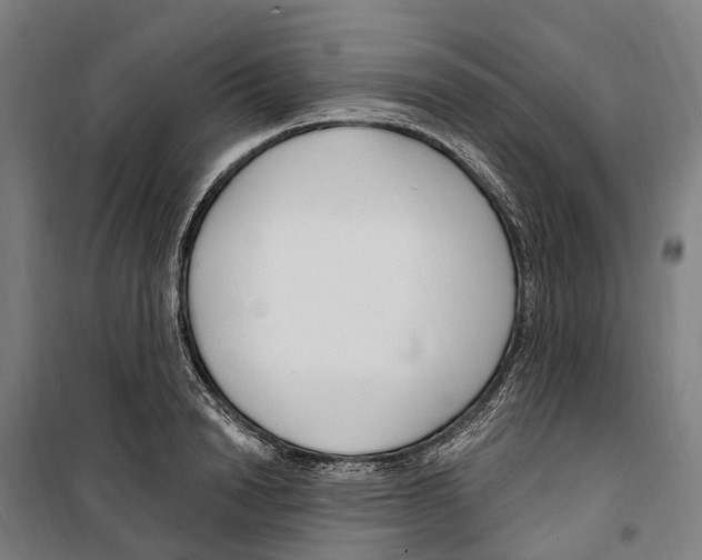 X0000099520846200806121500