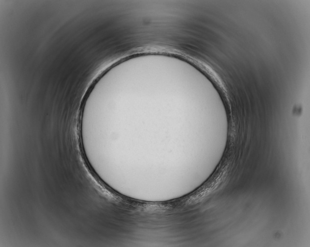 X0000099520847200806121500