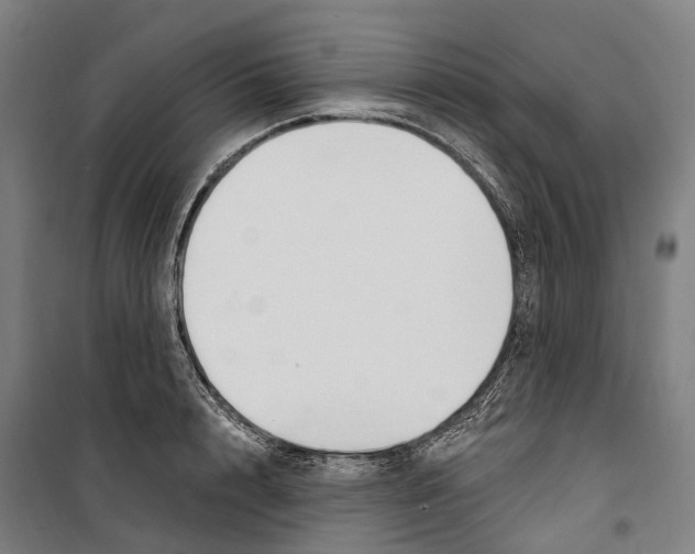 X0000099520848200806121500