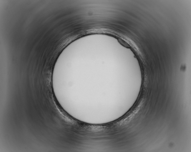 X0000099520849200806121500