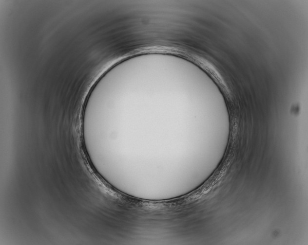 X0000099520852200806121500